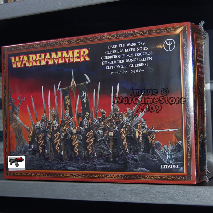 Dark Elf Warriors