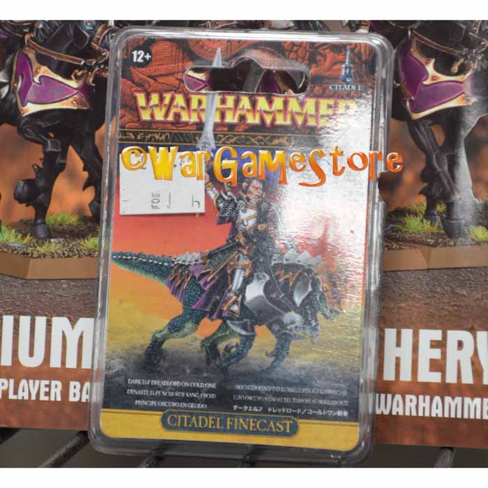 Dark Elf Dreadlord on Cold One