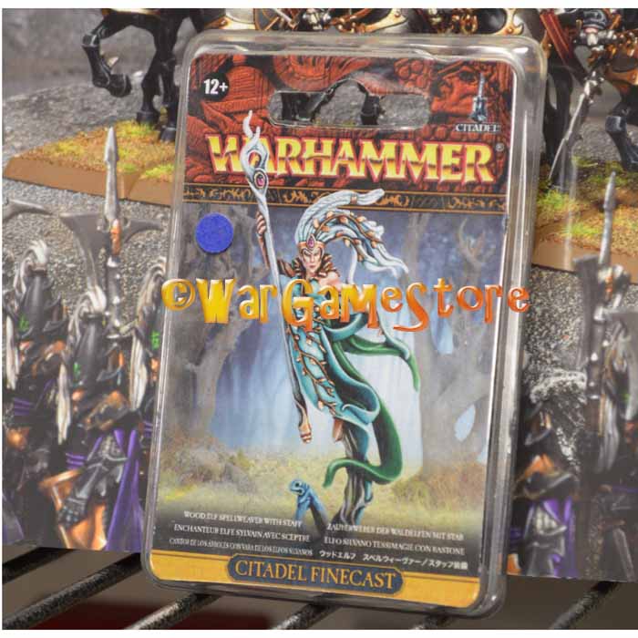 Wood Elf Spellweaver with Staff 