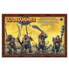 Warhammer: Ogre Kingdoms Ironguts