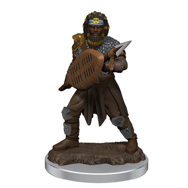 D&D Icons of the Realms Premium Figures: Human Fighter