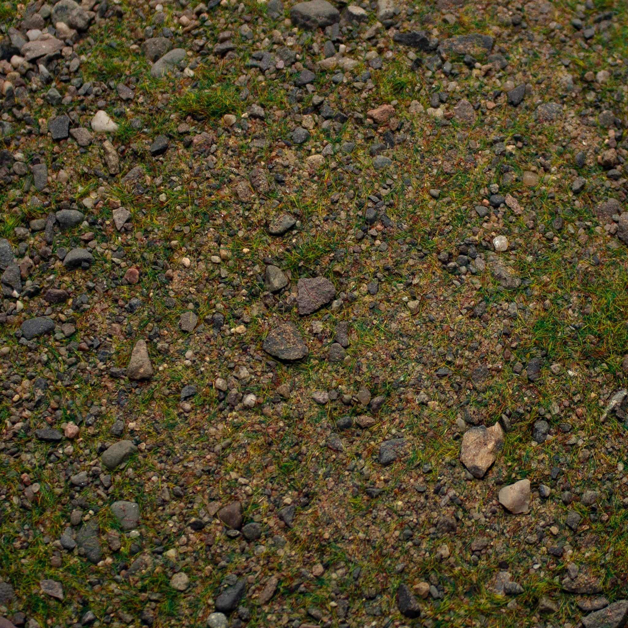 Base Ready Patchy Plains