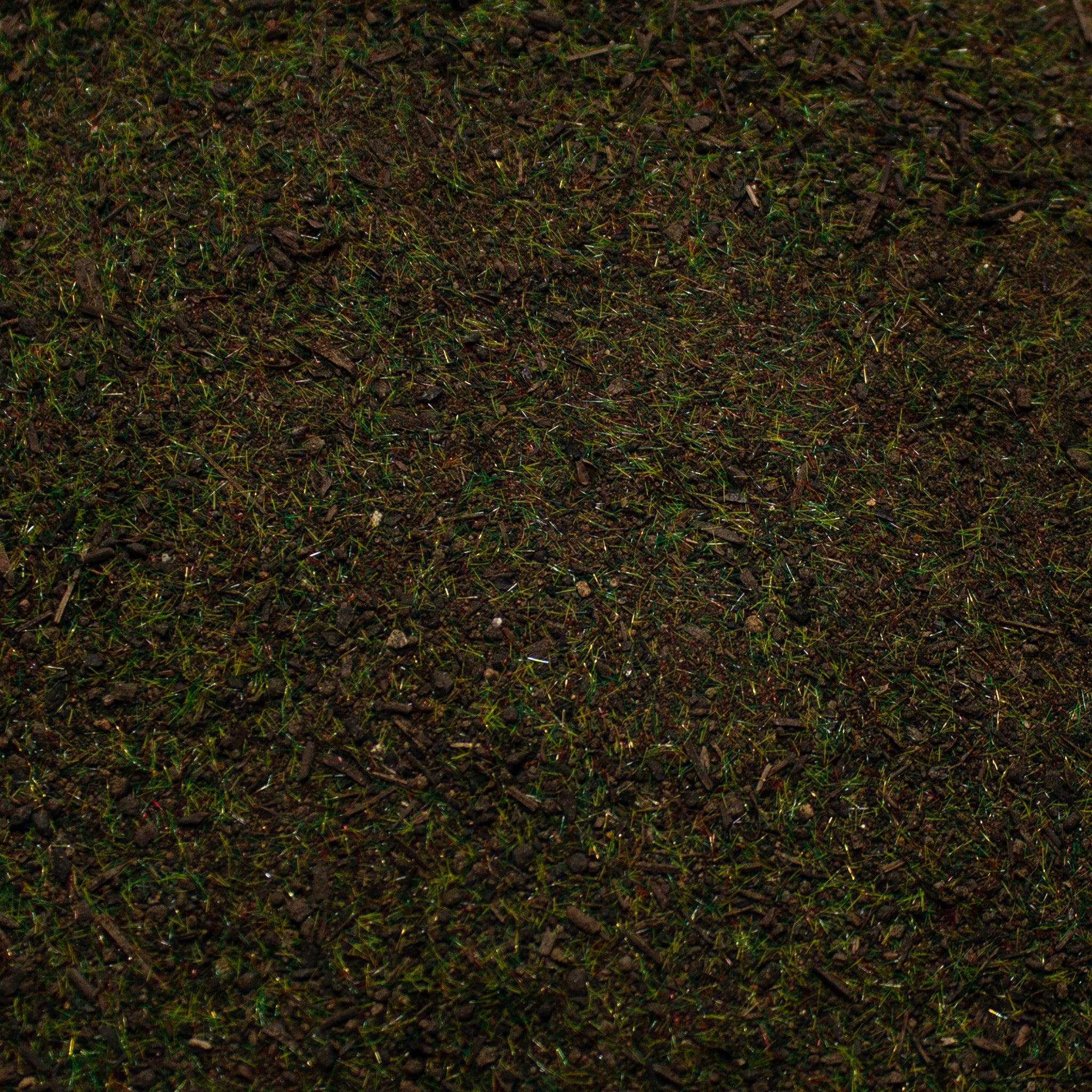 Base Ready Pine Forest Ground Cover