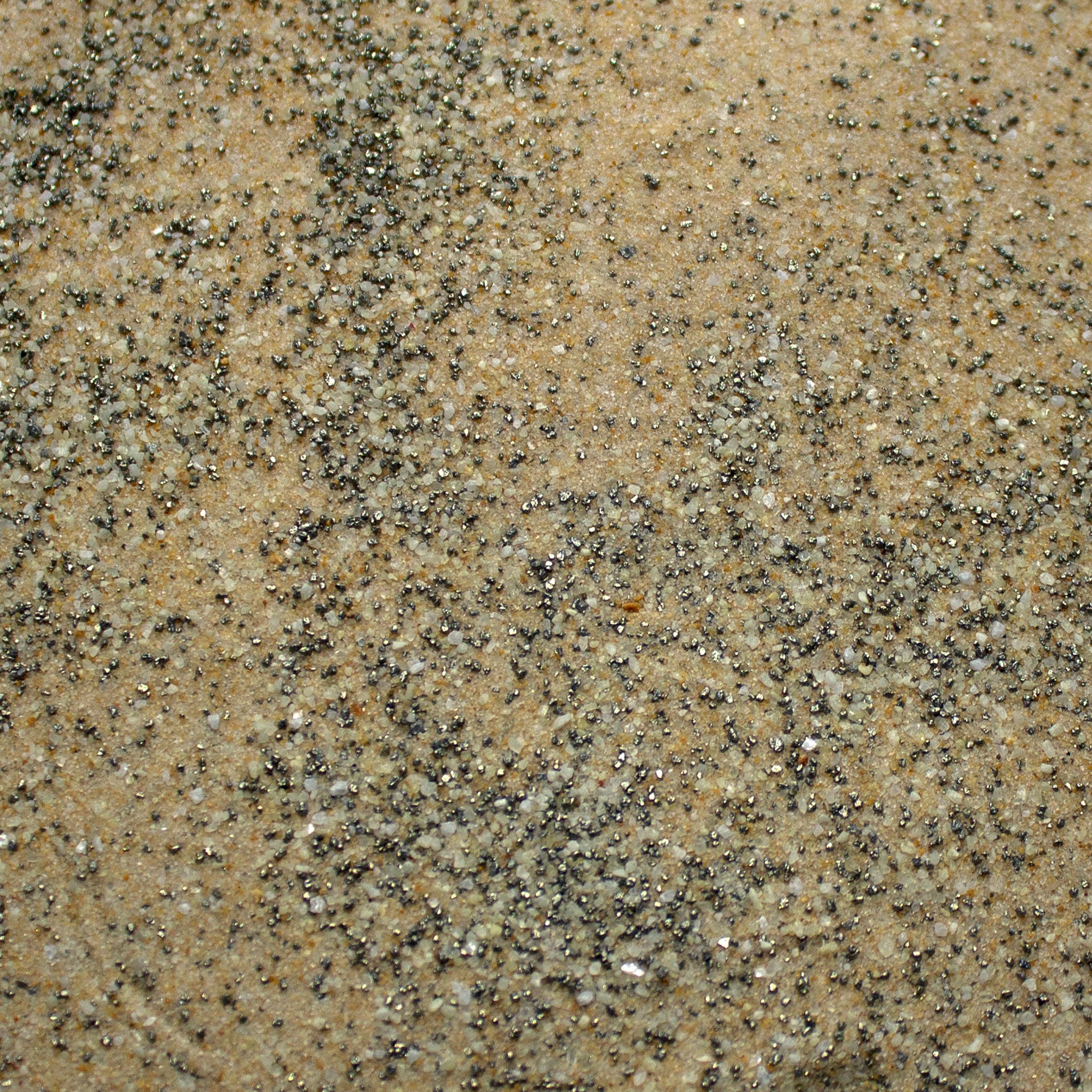 Base Ready Sand-Dune
