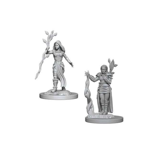 Dungeons & Dragons Miniatures: Human Female Druid