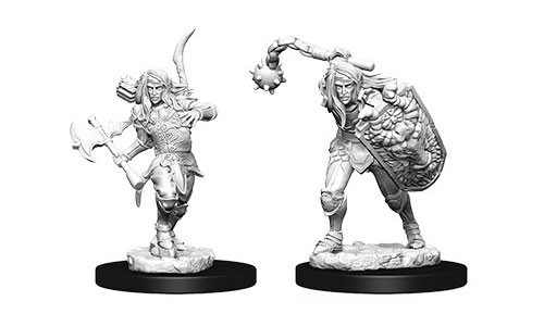 Dungeons & Dragons Miniatures: Male Elf Fighter