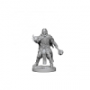 Dungeons & Dragons Miniatures: Human Male Cleric