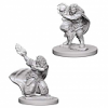 Dungeons & Dragons Miniatures: Dwarf Female Wizard