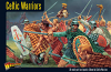 Celtic Warriors Box Set