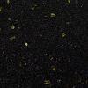 Base Ready Grimdark Tomb World (Yellow)