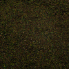 Base Ready Pine Forest Ground Cover