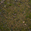 Base Ready Patchy Plains