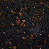 Base Ready Grimdark Tomb World (Orange)