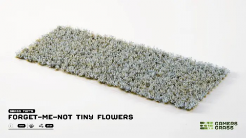 Forget-me-not Tiny Flowers
