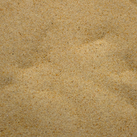 Base Ready Tropical Beach