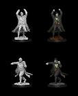 Dungeons & Dragons Miniatures: Revenant
