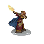 D&D Icons of the Realms Premium Figures: Female Dwarf Wizard