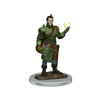 D&D Icons of the Realms Premium Figures: Male Half-Elf Bard