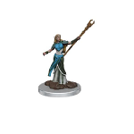 D&D Icons of the Realms Premium Figures: Female Elf Sorcerer