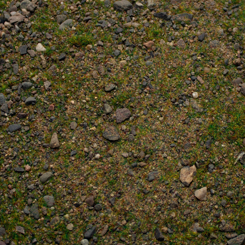 Base Ready Patchy Plains