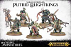 Putrid Blightkings Warhammer Warriors of Chaos