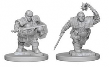 Dungeons & Dragons Miniatures: Dwarf Female Fighter