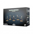 Dark Eldar Incubi