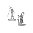 Dungeons & Dragons Miniatures: Human Female Druid